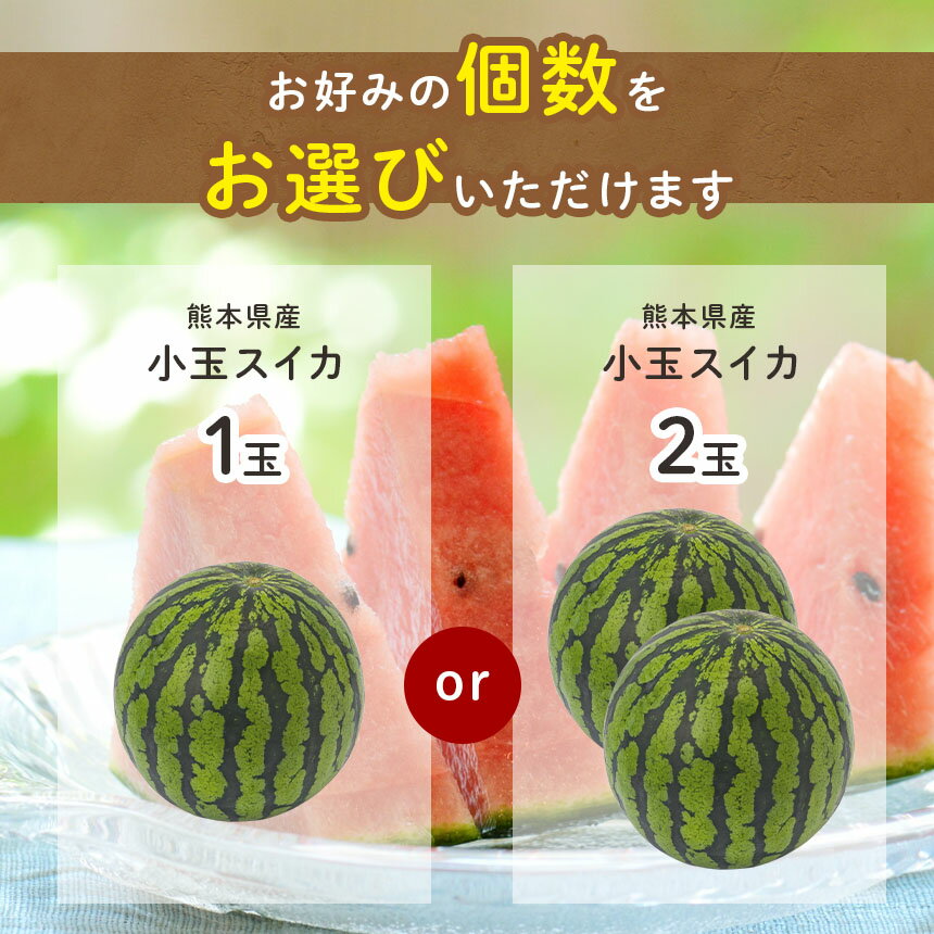 【ふるさと納税】小玉 スイカ 1玉 or 2玉 西瓜 赤色 熊本県 すいか 果物 フルーツ 薄皮で甘い 夏の果物 熊本県産 期間限定 産地直送 送料無料