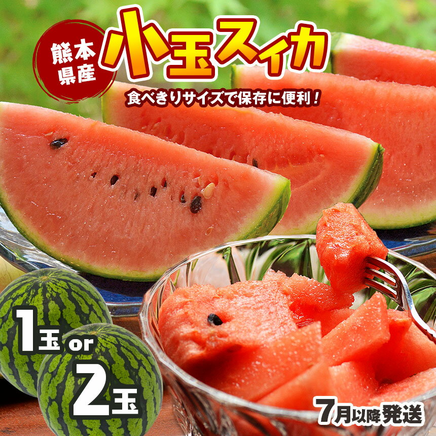 【ふるさと納税】【7月以降発送 】 スイカ 王国 熊本 ！ 小玉 すいか 1玉 or 2玉 | 玉名 熊本 熊本県産 果物 西瓜 フルーツ 期間限定 産地直送 送料無料のサムネイル