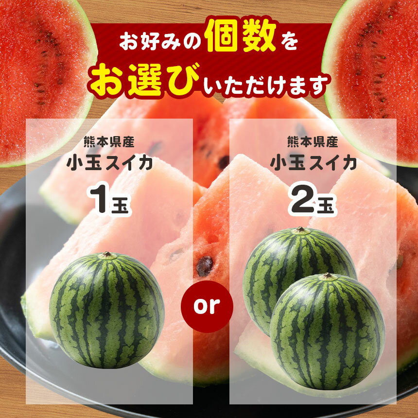 【ふるさと納税】【7月以降発送 】 スイカ 王国 熊本 ！ 小玉 すいか 1玉 or 2玉 熊本県産 果物 西瓜 フルーツ 期間限定 産地直送 送料無料