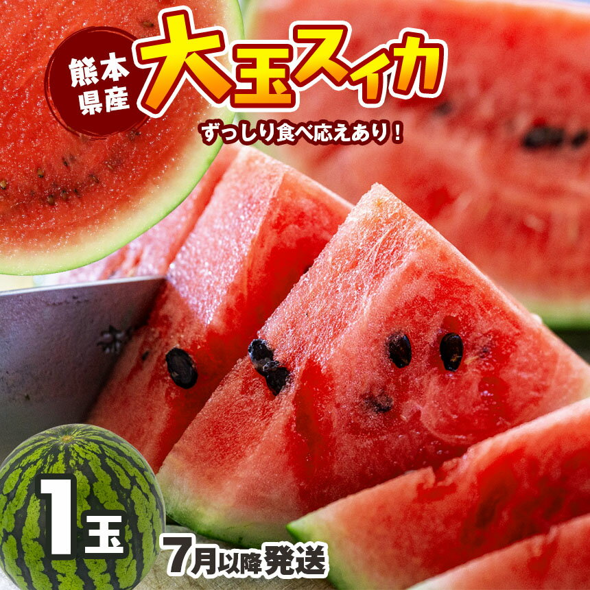 【ふるさと納税】 【7月以降発送】 スイカ 王国 熊本 ！ 大玉 すいか 1玉 | 玉名 熊本 熊本県産 果物 西瓜 フルーツ 熊本県 すいか 果物 フルーツ くまもと産 甘いのサムネイル