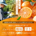熊本県玉名市の画像2