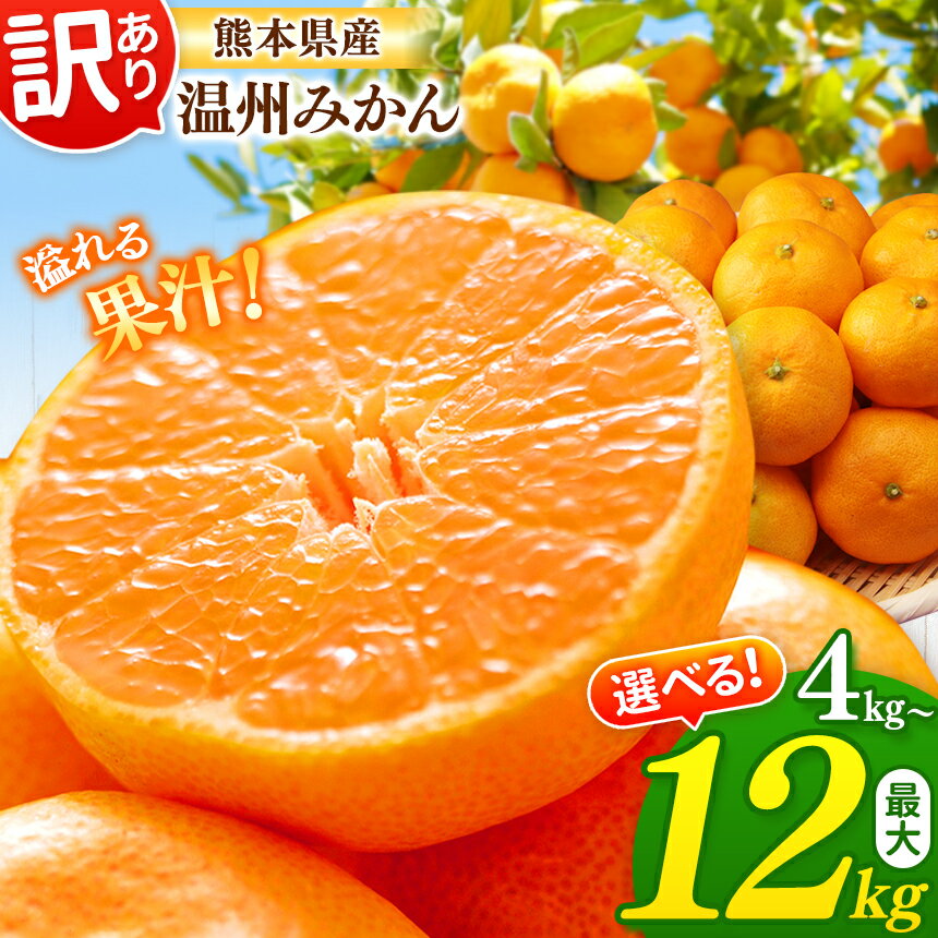 【ふるさと納税】満足 温州 みかん 選べる 4kg 8kg 12kg 熊本 玉名 訳あり たまな tamana みかん 期間限定 果物 フルーツ 秋 冬 旬 柑橘 大小混合 家庭用 柑橘 産地直送 熊本 高評価 先行予約 玉名市オススメ返礼品 送料無料 大容量のサムネイル