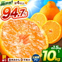 【ふるさと納税】訳あり 選べる 不知火 5kg 10kg 温州みかん 1.5kg 5kg 10kg | 不知火 蜜柑 柑橘 みかん 果物 フルーツ 期間限定 旬 大小混合 家庭用 産地直送 先行予約 オススメ返礼品 送料無料 大容量 熊本県 玉名市