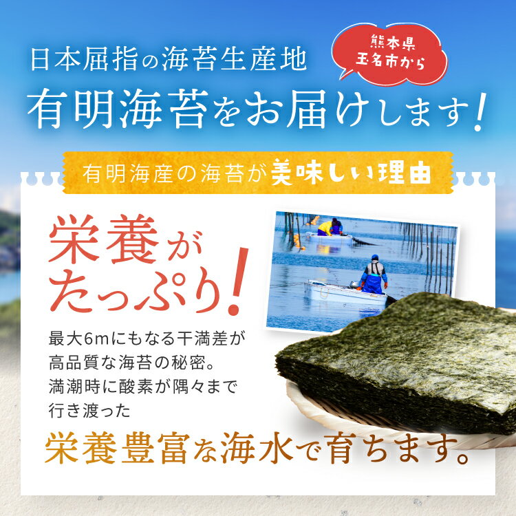 【ふるさと納税】厳選 ！ 有明海産 焼き 海苔 全型 30枚 ご家庭用 | 玉名 熊本 海苔 のり