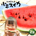 【ふるさと納税】熊本玉名スイカ 小玉(2玉)