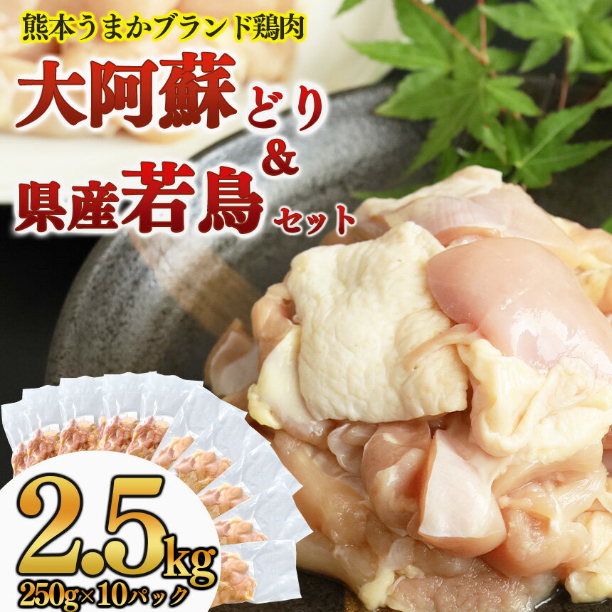 【ふるさと納税】鶏肉 大阿蘇どり 若どり 小分けパック 食べ比べ 冷凍 2.5kg 小間切れ 鶏モモ 鶏モモ肉 鶏むね 鶏むね肉 からあげ 親子丼 熊本 玉名 送料無料のサムネイル