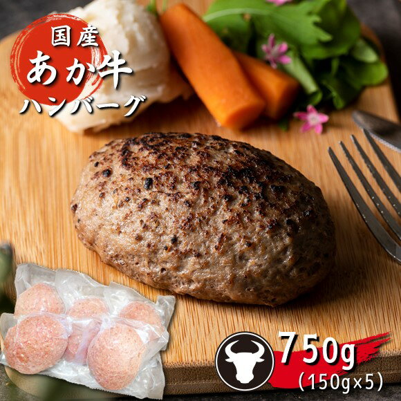 【ふるさと納税】旨味凝縮あか牛100％ハンバーグ　750g（150g×5個）