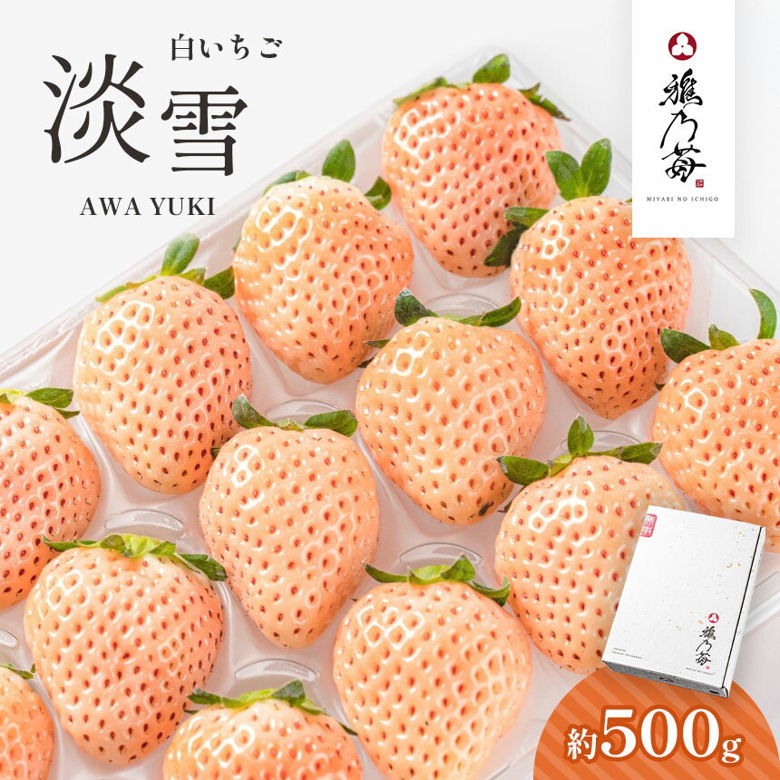 【ふるさと納税】 白いちご 淡雪 500g 雅乃苺 フルーツ いちご 苺 イチゴ 果物 生産者直送 産地直送 先行予約 熊本 玉名 送料無料のサムネイル