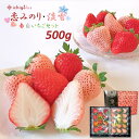 【ふるさと納税】イチゴラス 紅白いちごセット「恋みのり・淡雪
