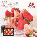 【ふるさと納税】イチゴラス 紅白いちごセット「恋みのり・淡雪