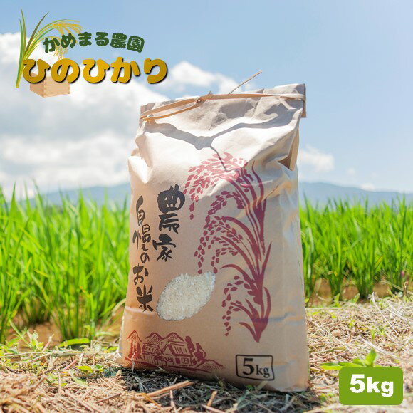米 ひのひかり 5キロ かめまる農園 ヒノヒカリ 生産者直送 玉名 熊本 送料無料