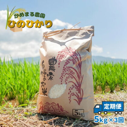 定期便3回 かめまる農園の「ひのひかり」5kg×3回 | 米 単一原料米 玄米 白米 玉名 熊本