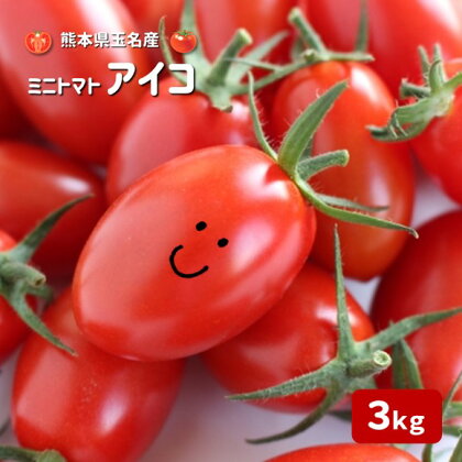 ミニトマト トマト アイコ 3キロ 3kg かめまる農園 生産者直送 産直 玉名 熊本 送料無料