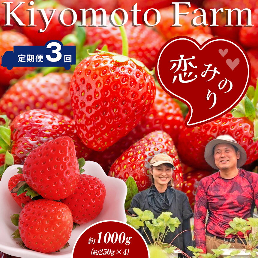 【ふるさと納税】いちご 定期便 1月から発送 恋みのり フルーツ 果物 産地直送 生産者直送 4パック 定期便3回 イチゴ 苺 玉名 熊本 送料無料のサムネイル
