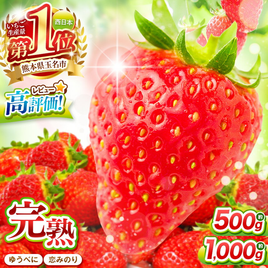 【ふるさと納税】 イチゴ 恋みのり 