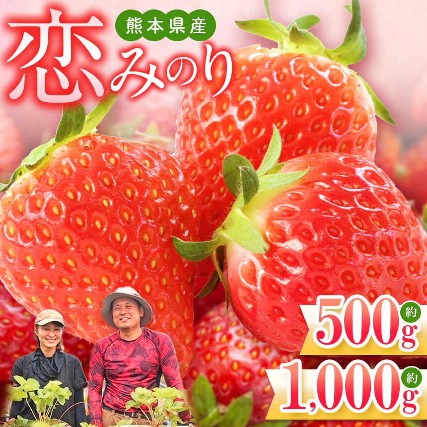 【ふるさと納税】 イチゴ 恋みのり 選べる 約1000g （