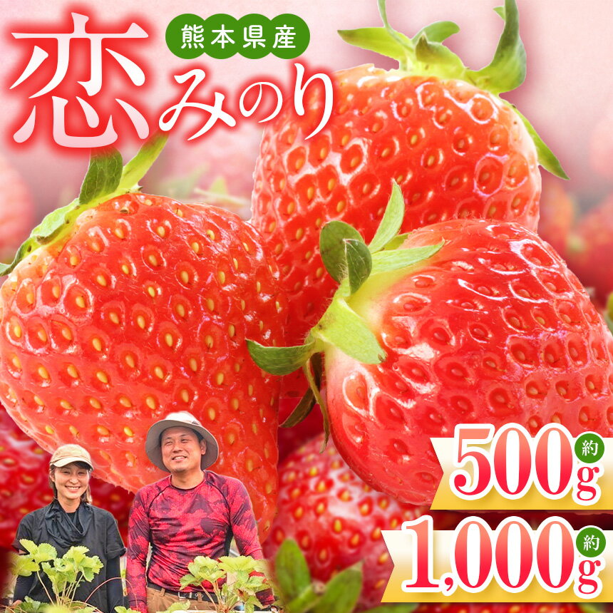 【ふるさと納税】いちご 果物 フルーツ 熊本 たまな産 イチゴ 恋みのり1,200g（300g×4パック）生産者直送 産地直送 送料無料のサムネイル
