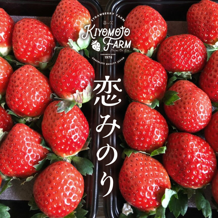 【ふるさと納税】いちご 定期便 3回 恋みのり 約1000g （250g×4パック） 1月から発送 | フルーツ 果物 くだもの 果実 イチゴ 苺 産地直送 生産者直送 4パック イチゴ 苺 玉名 熊本 送料無料 熊本県 玉名市