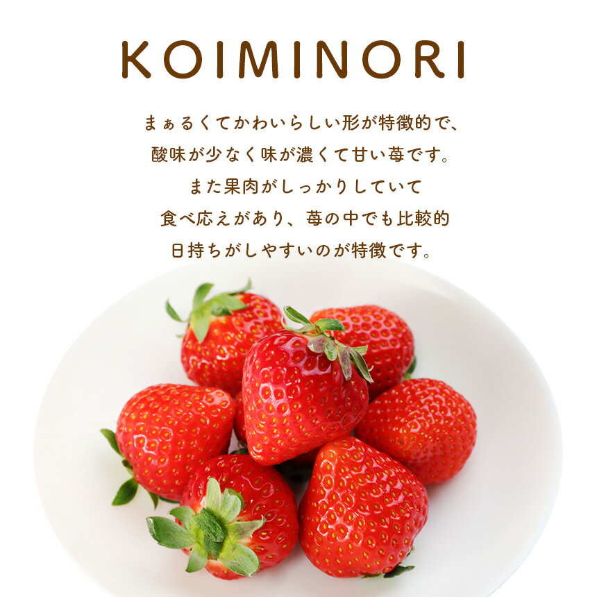【ふるさと納税】いちご 定期便 3回 恋みのり 約1000g （250g×4パック） 1月から発送 | フルーツ 果物 くだもの 果実 イチゴ 苺 産地直送 生産者直送 4パック イチゴ 苺 玉名 熊本 送料無料 熊本県 玉名市