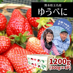 【ふるさと納税】いちご 苺 イチゴ ゆうべに 300g×4パック フルーツ 果物 1,200g 生産者直送 産地直送 熊本 玉名 送料無料
