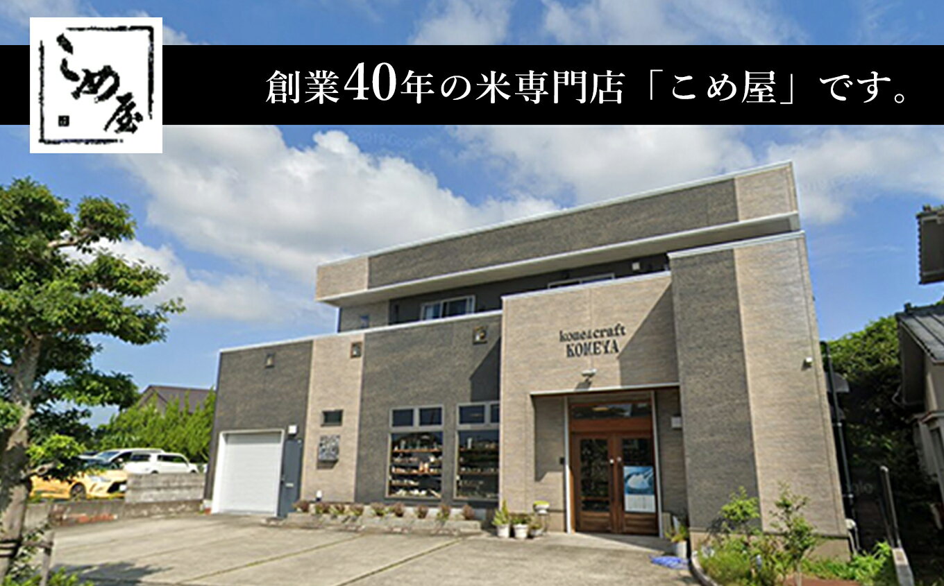 【ふるさと納税】米 定期便 12回 10キロ 森のくまさん 検査米 精米 白米 日本遺産 菊池川 玉名 熊本 送料無