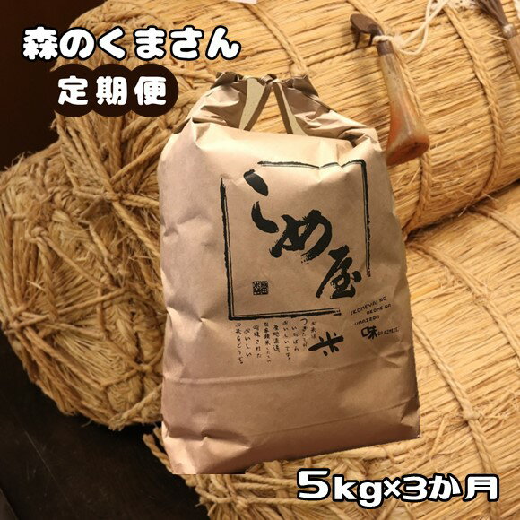 米 定期便 3回 5キロ 森のくまさん 検査米 精米 白米 日本遺産 菊池川 玉名 熊本 送料無