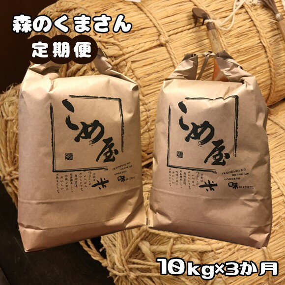 米 定期便 3回 10キロ 森のくまさん 検査米 精米 白米 日本遺産 菊池川 玉名 熊本 送料無