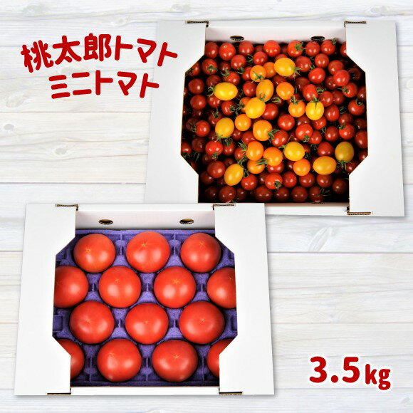 蘇鉄園芸 の トマト 三昧 ( ミニトマト 2kg + 桃太郎 トマト 14個 ) [1月〜6月で発送] | ミニトマト 玉名 熊本