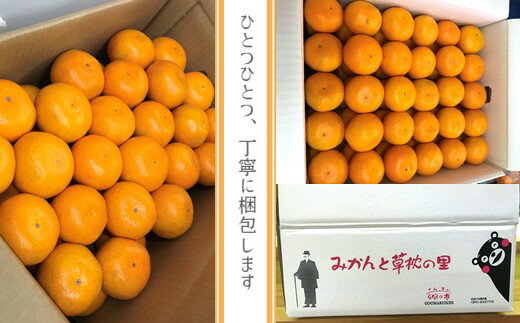 【ふるさと納税】みかん 温州みかん 5kg | 果物 くだもの フルーツ 柑橘 柑橘類 みかん 温州 5キロ 早生 極早生 肥のあかり 豊福 木村みかん 青島 玉名市 玉名 熊本 産産地直送 生産者直送 送料無料