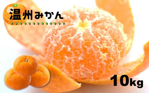 みかん 温州みかん 柑橘 10kg 10キロ 早生 極早生 肥のあかり 豊福 木村みかん 青島 玉名市 玉名 熊本 産産地直送 生産者直送 送料無料