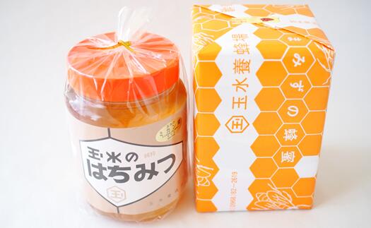 【ふるさと納税】 中山大吉商店の 熊本県産 はちみつ 2Kg (1kg瓶×2個)