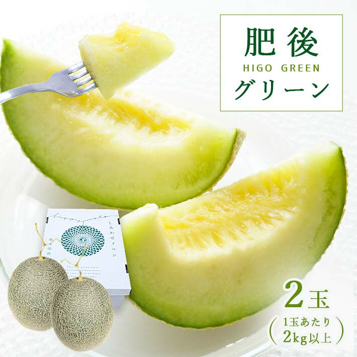 メロン「 肥後グリーン 」2玉 果物 フルーツ 熊本県産 | 玉名 熊本
