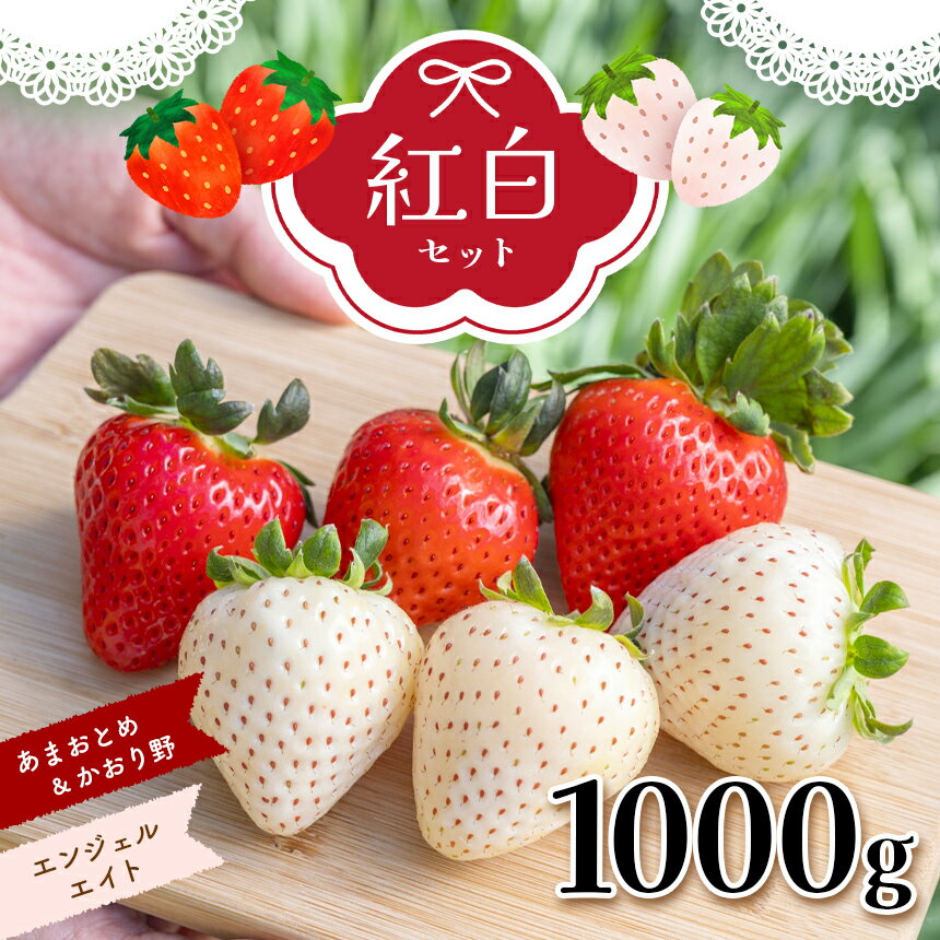【ふるさと納税】天使 の いちご エンジェルエイト & かおり野 & あまおとめ 紅 白いちご 約1000g セット 苺 イチゴ いちご 紅白セット 熊本 玉名 送料無料のサムネイル