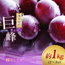 7位! 口コミ数「3件」評価「4.33」巨峰 約 1kg（2～3房） フルーツ 果物 ぶどう 葡萄 新鮮 農家直送 リテイファーム 種無し 産地直送 生産者直送 玉名 熊本 送料無･･･ 