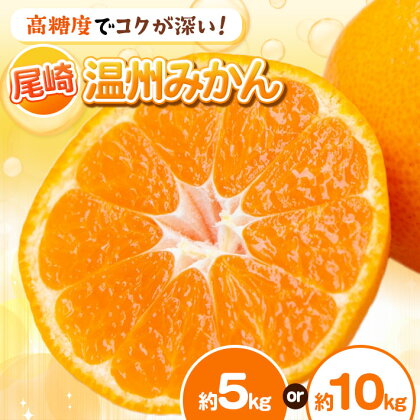 尾崎 温州 みかん 約 5kg ・ 10kg | 玉名 熊本 柑橘 フルーツ 果物 名産地 天水