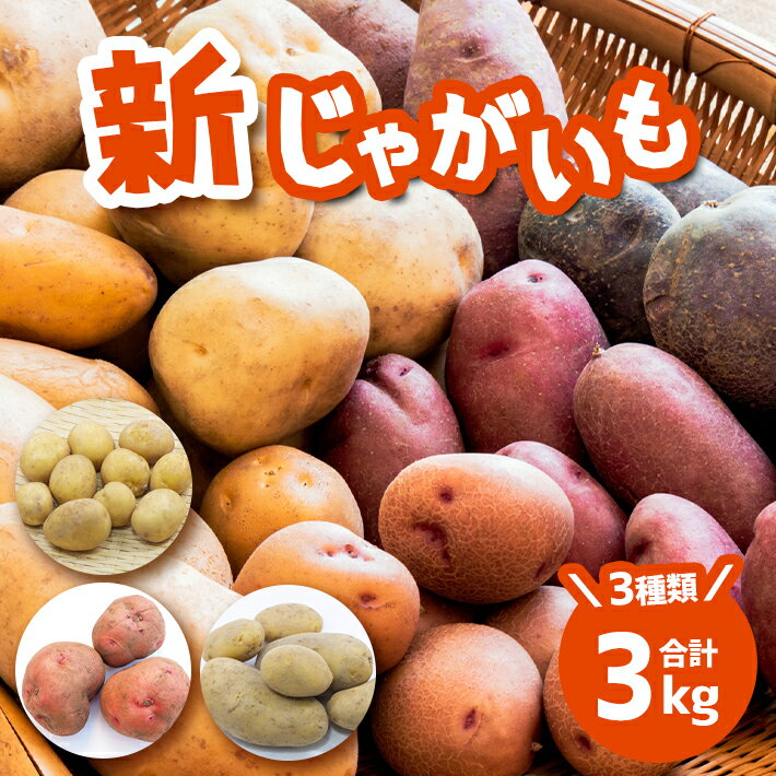 【ふるさと納税】じゃがいも 新じゃが インカのめざめ メークイン 合計3kg リテイファーム 産地直送 生産者直送 玉名 熊本 送料無料のサムネイル