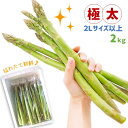 【ふるさと納税】熊本玉名産 アスパラガス(グリーン)2kg