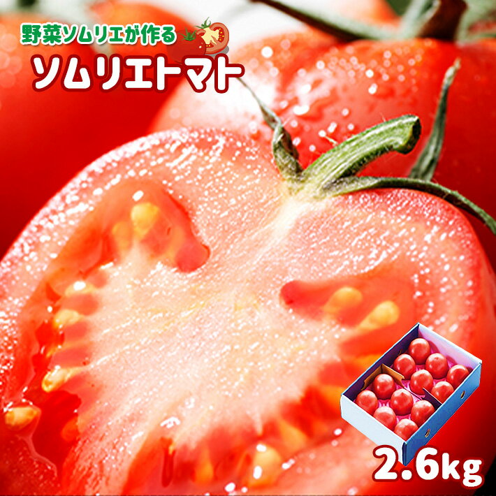 ソムリエトマト (トマト2.6kg) 熊本 玉名 トマト 産地直送 生産者直送 送料無料