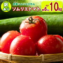 52位! 口コミ数「1件」評価「5」大玉 訳あり ソムリエトマト 約 6kg ～ 10kg (約3kg～5kg × 2箱) 農家直送 熊本 玉名