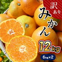 【ふるさと納税】 訳あり みかん 12kg (6kg×2) 温州みかん 果物 フルーツ 大容量 家庭用 キズあり 大小混合 産地直送 生産者直送 旬 九州 熊本県 玉名市 送料無料