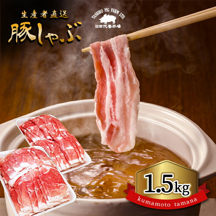 【ふるさと納税】 豚肉 しゃぶしゃぶ 国産豚 薄切り肉 スライス肉 1.5kg モモ カタ 熊本 玉名 大容量 1500g 豚 肉 しゃぶしゃぶ用 鍋 玉名 熊本 国産 しゃぶしゃぶセット 送料無料