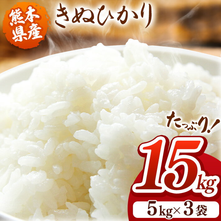 【ふるさと納税】 令和5年産 きぬひかり 15kg 5kg ×3 単一原料米 早期米 | 玉名 熊本