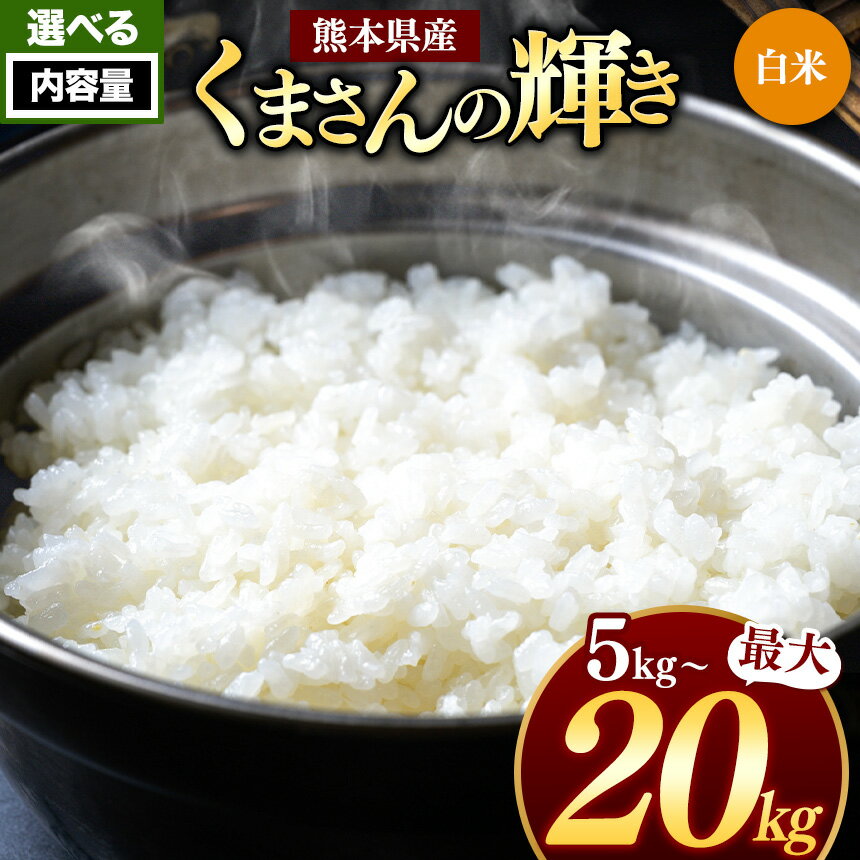 熊本県産 くまさんの輝き 白米 選べる 内容量 5kg 10kg 15kg 20kg | お米 おこめ 米 こめ 精米 熊本県 送料無料 おにぎり おうちごはん 炊立てご飯 玉名 熊本