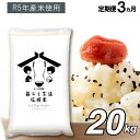 【ふるさと納税】 ＜ 定期便 3回 ＞ 訳あり 米 毎日食卓・米農家 応援 米 20kg（20kg×3ヶ月） 20キロ×3回　ブレンド米 大容量 家庭用 送料無料 熊本 コロナ支援 災害支援 くまもと九州 西日本