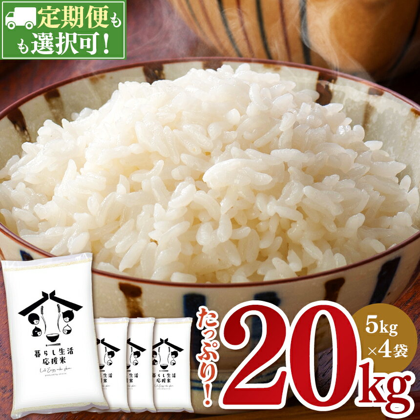 【ふるさと納税】令和5年産 米 20kg (5kg×4) 1回 3回 6回 12回 定期便 お米 白米 数量限定 訳あり