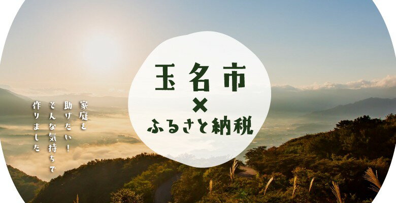 【ふるさと納税】令和5年産 米 20kg (5kg×4) 1回 3回 6回 12回 定期便 お米 白米 数量限定 訳あり