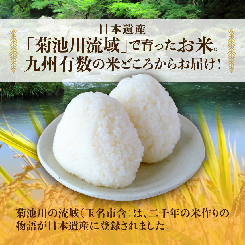 【ふるさと納税】訳あり 米 17kg（6kg+6kg+5kg）令和3年産 新米 10月頃より発送＜期間限定＞毎日食卓・米農家応援米17キロ　ブレンド米　大容量　お徳用　家庭用　送料無料　熊本　コロナ支援　災害支援　くまもと　九州　西日本