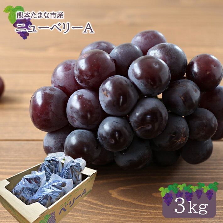 【ふるさと納税】ぶどう 約 3kg ニューベリーA 種なし ブドウ 種無し ぶどう 家庭用 葡萄 東ぶどう園 産地直送 生産者直送 先行予約 熊本 玉名 送料無料のサムネイル