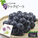 【ふるさと納税】ぶどう ブラックビート 約1kg 東ぶどう園 産地直送 生産者直送 先行予約 熊本 玉名 送料無料