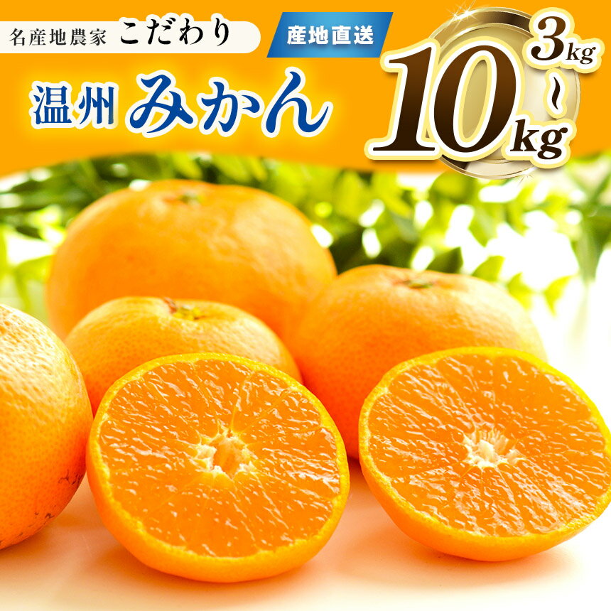 【ふるさと納税】 こだわり みかん 柑橘 ミカン 選べる 3kg 5kg 10kg | 果物 くだもの フルーツ 柑橘 柑橘類 みかん 温州 玉名 熊本 下田農園 生産者直送 産地直送 熊本玉名 送料無料のサムネイル